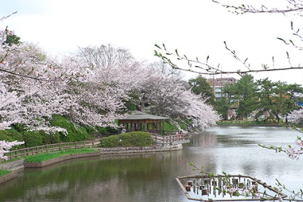 亀城公園
